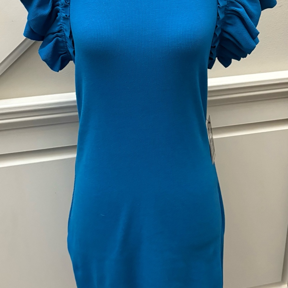 Express Casual Crewneck Ruffle Sleeve T-Shirt  Blue Ruffle Sleeve Dress